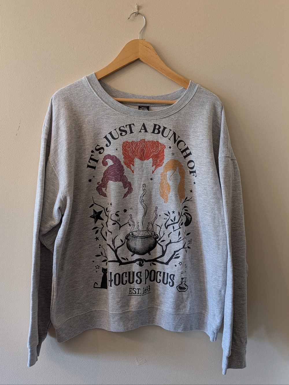 Disney Hocus Pocus Gray Sweatshirt Women's XL